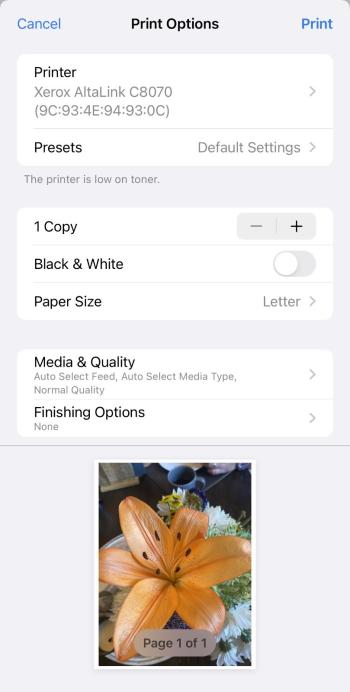 Screenshot of Apple AirPrint on iPhone
